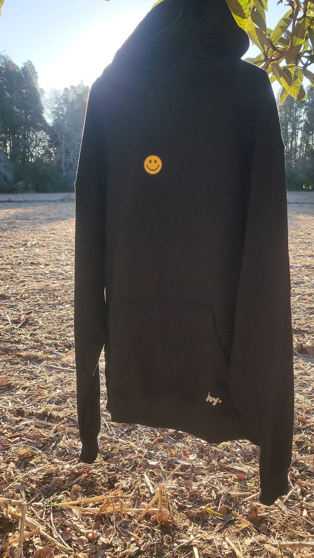 joy. Through Jesus Hoodie