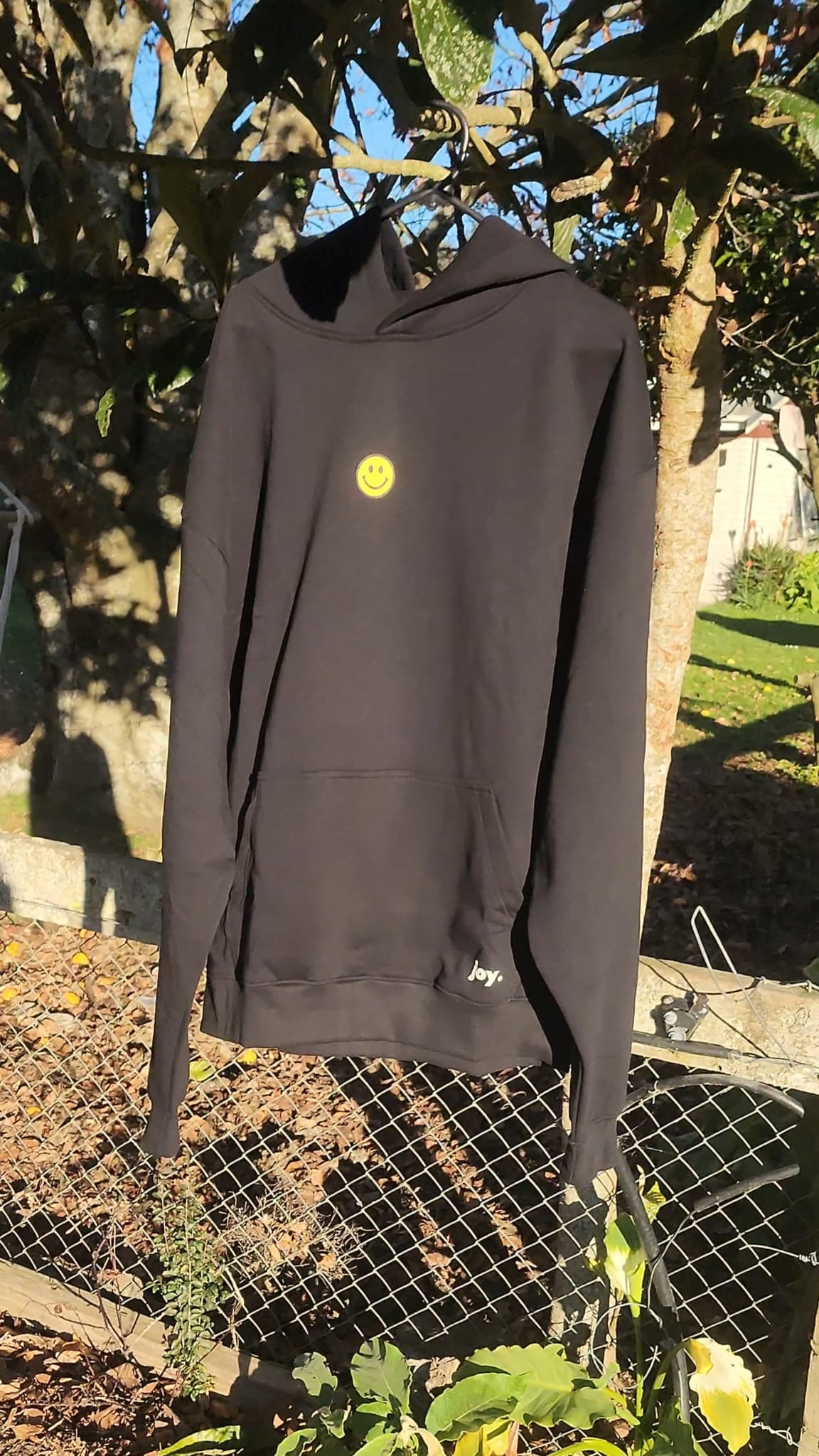 joy. Through Jesus Hoodie